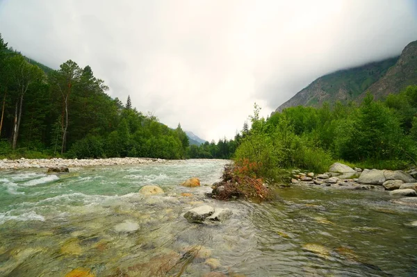 Estate Mattina Cupa Flusso Veloce Del Fiume Montagna Alla — Foto Stock