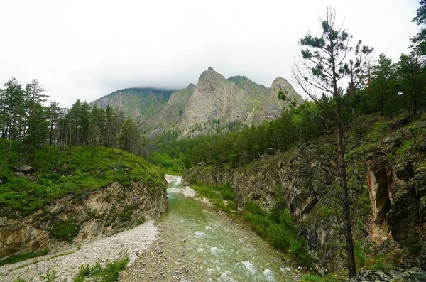 Summer gloomy morning and fast flow of the mountain river Alla