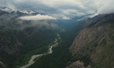 Kasvetli yaz sabahı ve dağ nehrinin hızlı akışı Alla