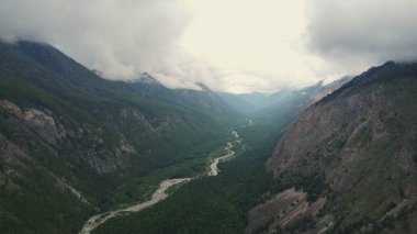 Kasvetli yaz sabahı ve dağ nehrinin hızlı akışı Alla