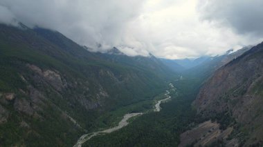 Kasvetli yaz sabahı ve dağ nehrinin hızlı akışı Alla