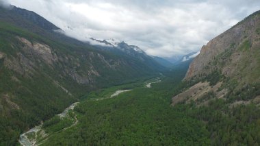 Kasvetli yaz sabahı ve dağ nehrinin hızlı akışı Alla