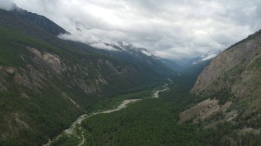 Kasvetli yaz sabahı ve dağ nehrinin hızlı akışı Alla