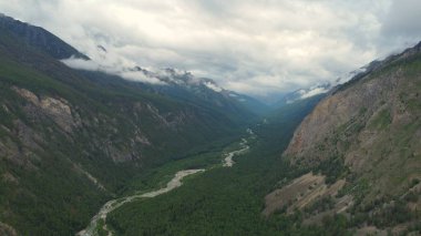 Kasvetli yaz sabahı ve dağ nehrinin hızlı akışı Alla