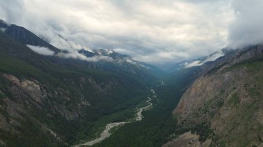 Kasvetli yaz sabahı ve dağ nehrinin hızlı akışı Alla