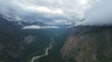 Kasvetli yaz sabahı ve dağ nehrinin hızlı akışı Alla