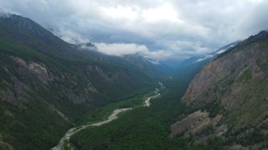 Kasvetli yaz sabahı ve dağ nehrinin hızlı akışı Alla