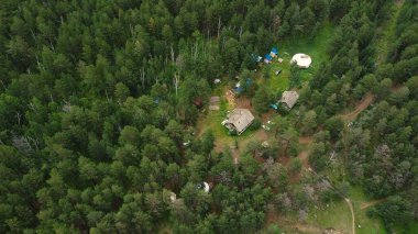 Kasvetli yaz sabahı ve dağ nehrinin hızlı akışı Alla