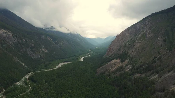 Summer gloomy morning and fast flow of the mountain river Alla