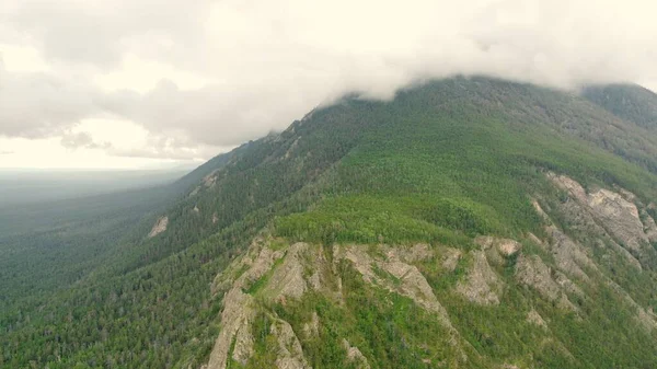 Verão Manhã Sombria Fluxo Rápido Rio Montanha Alla — Fotografia de Stock