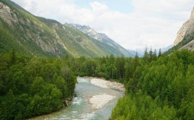 Kasvetli yaz sabahı ve dağ nehrinin hızlı akışı Alla