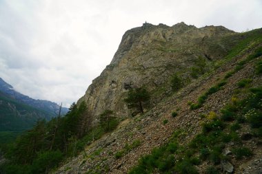 Kasvetli yaz sabahı ve dağ nehrinin hızlı akışı Alla