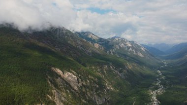 Kasvetli yaz sabahı ve dağ nehrinin hızlı akışı Alla