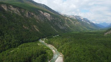 Kasvetli yaz sabahı ve dağ nehrinin hızlı akışı Alla