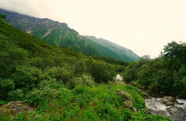 Yakriy summer landscape and strolling in the Barguzin valley