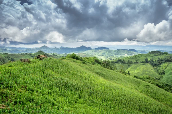 Çeltik alan değirmenin görünümü yalnız