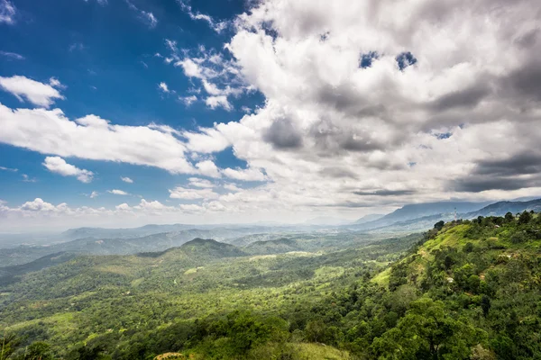 Çay plantasyon görünümünden bir tepe, Ceylon peyzaj, Lipton planta