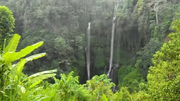 Drone Grande cascade à Bali Sekumpul — Video
