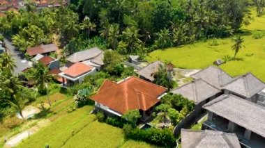 Mahagiri insansız hava aracı görüşü yakınındaki Aerial Rice terasları. Bali, Endonezya.