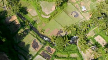 Aerial Rice terasları Tegalalang insansız hava aracı görüntüsü. Bali, Endonezya.