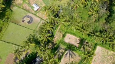 Mahagiri insansız hava aracı görüşü yakınındaki Aerial Rice terasları. Bali, Endonezya.