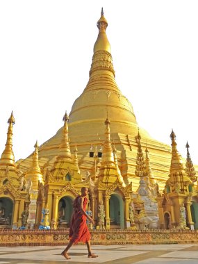 Budist rahip Shwedagon pagoda, Myanmar ünlü atrraction yürüyüş.