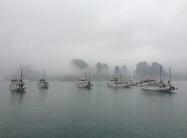 Halong bay gemi