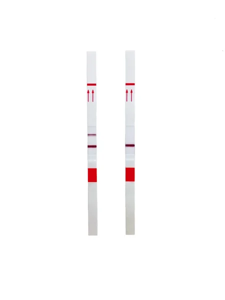 Pozitif ve negatif test kaset Hcg analizi için şeritler