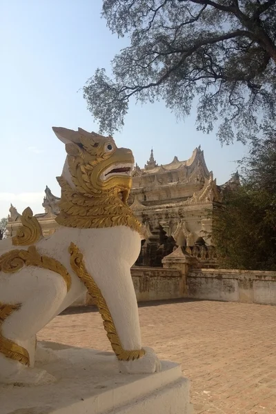Leo straży w myanmar — Zdjęcie stockowe