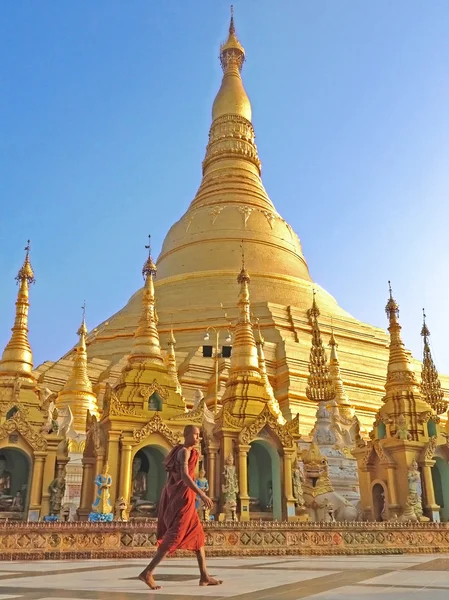 Budist rahip Shwedagon pagoda, Myanmar ünlü atrraction yürüyüş.
