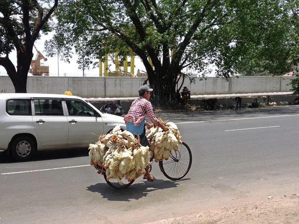 Birman kişini bir bisiklet ile canlı tavuk (Rangoon) Yangon, Myanmar (Burma)