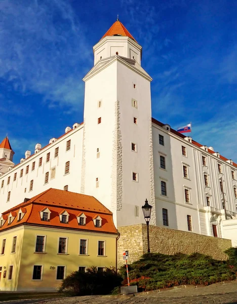 Bratislava castle mavi gökyüzü karşı