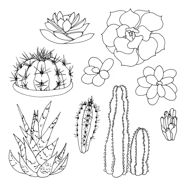 Ensemble d'un vecteur noir et blanc dessiné à la main cactus et succulents isolés sur un fond blanc. Partie 2 — Image vectorielle