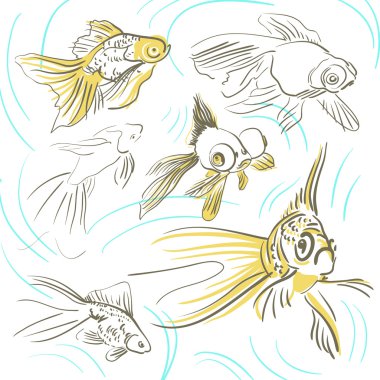 Goldfishes özetliyor kroki ile