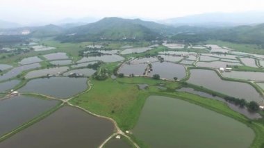 Dumanlı hava altında bir manzarası havadan görünümü-Shenzhen, Çin