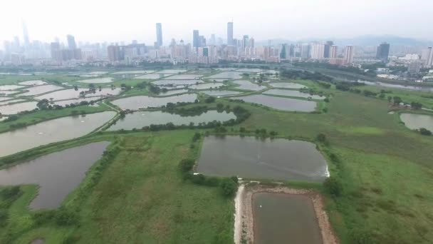 Une vue aérienne d'horizon de Shenzhen, Chine sous un temps fumé — Video