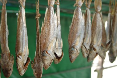 Tranitions kurutulmuş balık