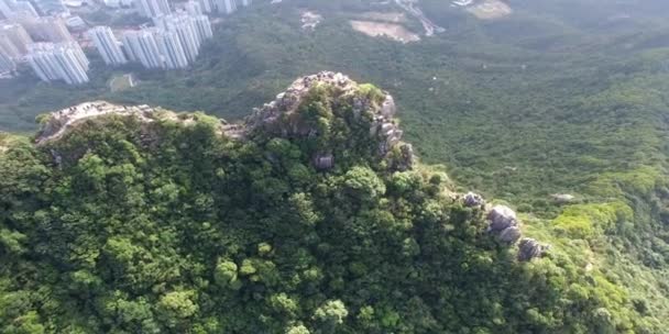 Молоді туристи на вершині гори, що сидить на крутому скелі, насолоджуючись видом на долину — стокове відео