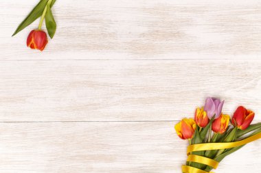 festive tulips for greeting card