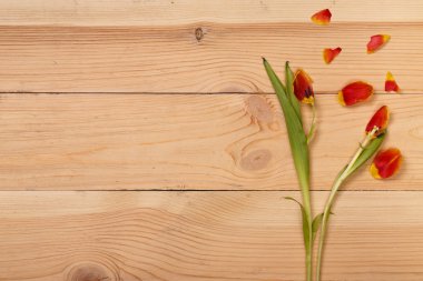 çalışma alanı ile kırık çiçekler.