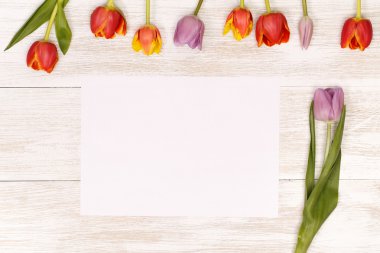 festive tulips  for greeting card