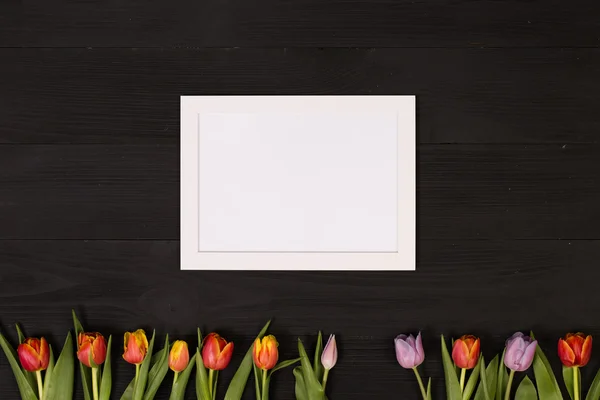 Праздничные тюльпаны для поздравительной открытки — стоковое фото