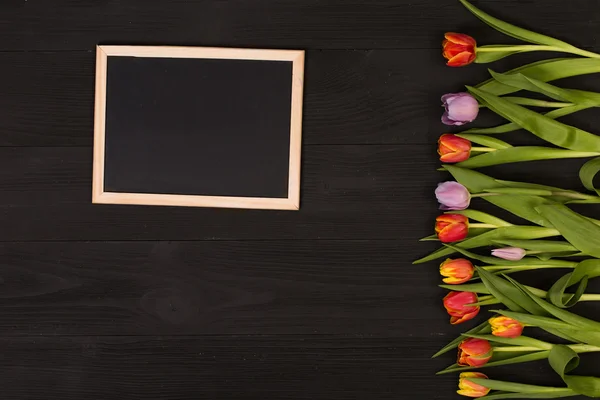 Piękne tulipany i ramki — Zdjęcie stockowe