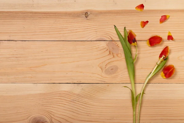 çalışma alanı ile kırık çiçekler.