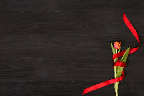 Świąteczny tulipan ze wstążką — Zdjęcie stockowe