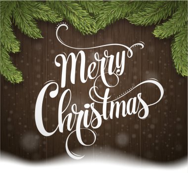 Noel hat çam dalları ile