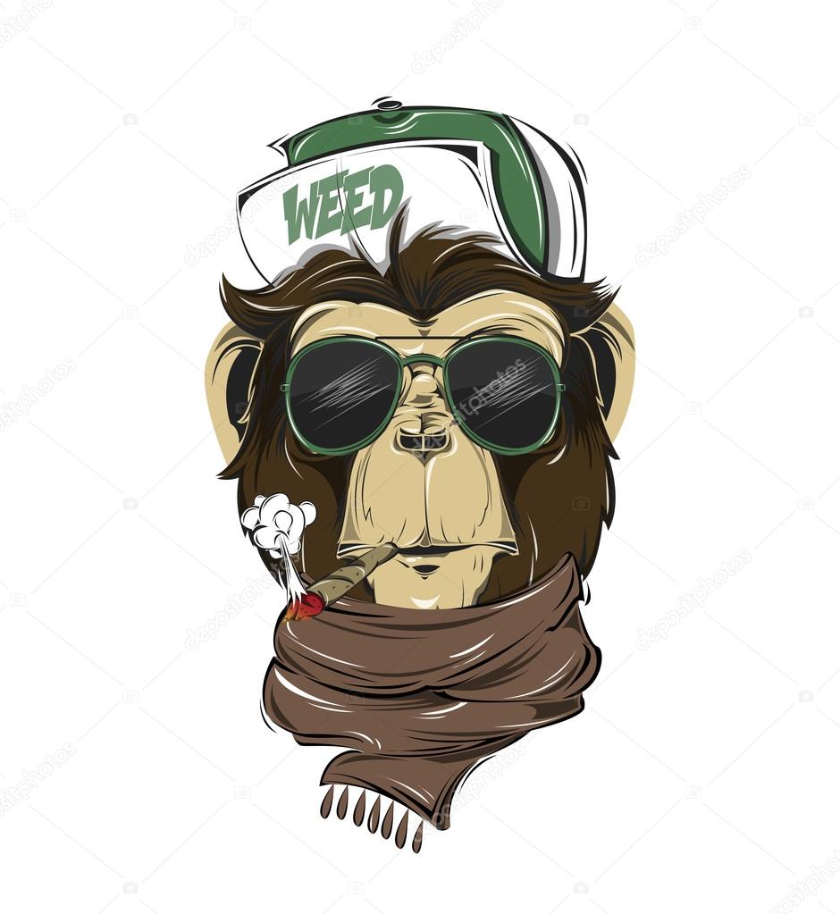 Urban Monkey Sunglasses Cartoon Stock Vector (Royalty Free