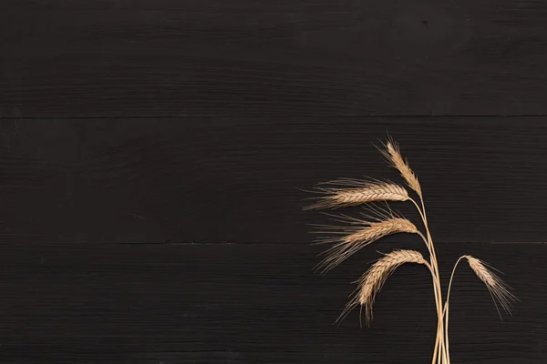 Oreja de trigo sobre mesa de madera oscura — Foto de Stock