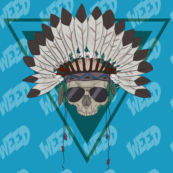 Skull with indian feather hat