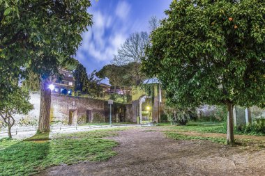 Gece bahçede portakal